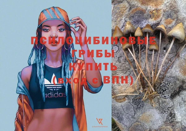 трава Кулебаки