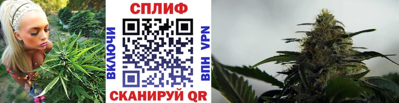 МАРИХУАНА планчик  Купить  Каргополь 